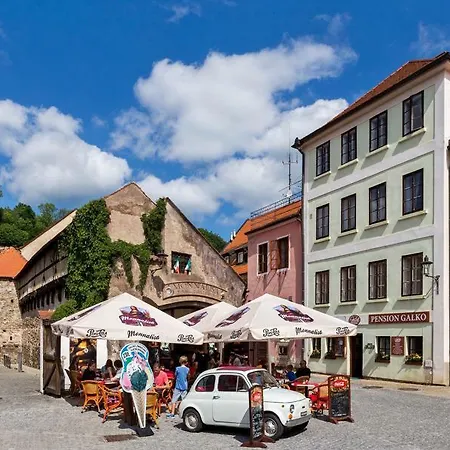 Apartment Kajovska 63 *