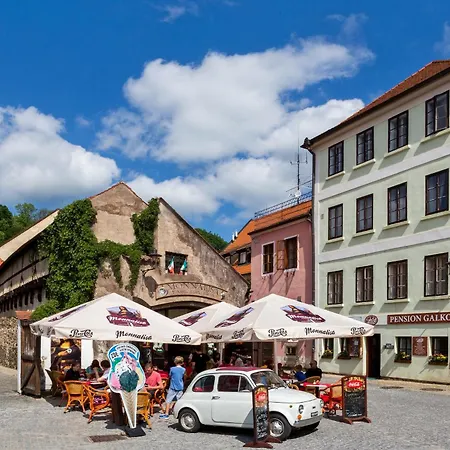 Апартаменты Kajovska 63 *
