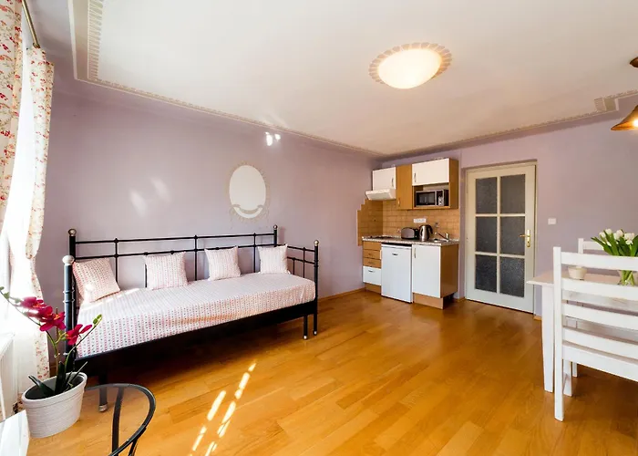 Kajovska 63 Апартаменты Чески-Крумлов